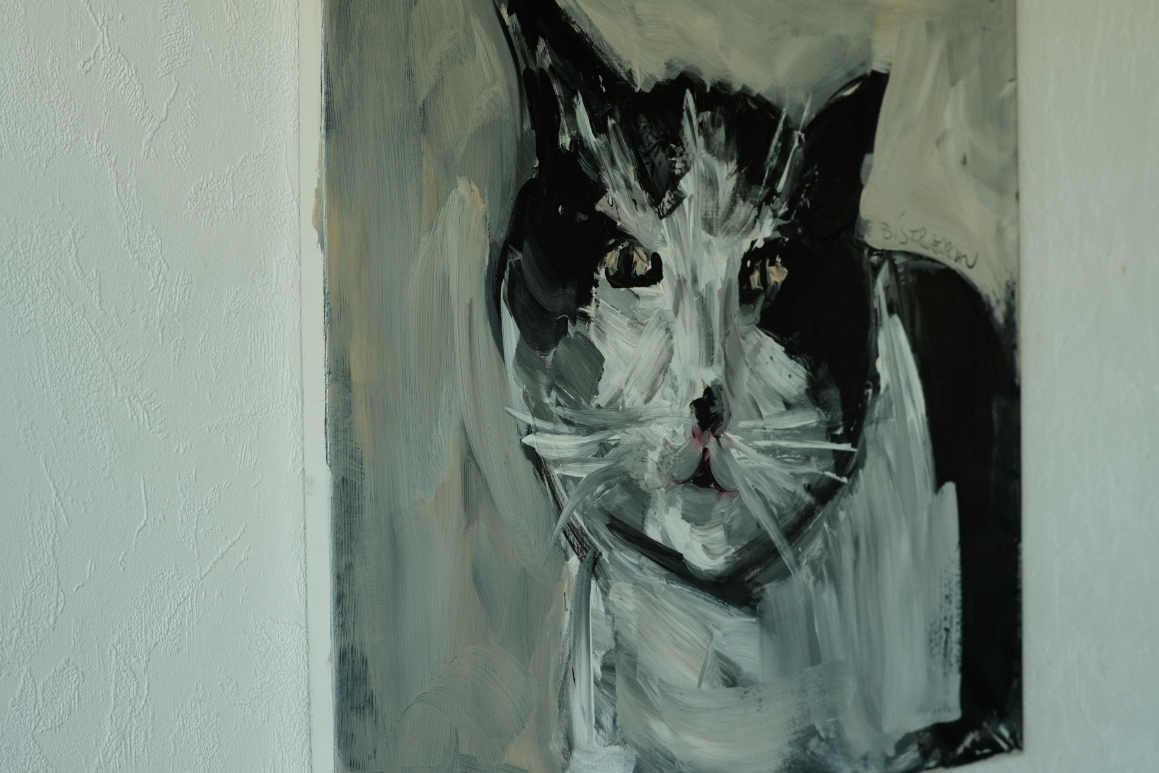 Mana the Cat, installation view